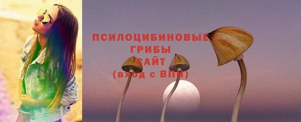 бошки Абдулино