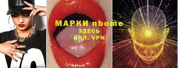 мет Алексин